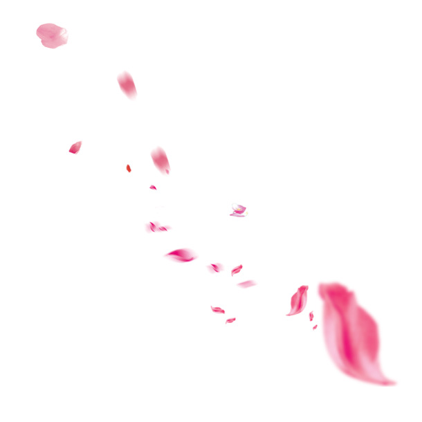 唯美鲜花PNG透明图片，高清花瓣漂浮元素PSD设计素材下载