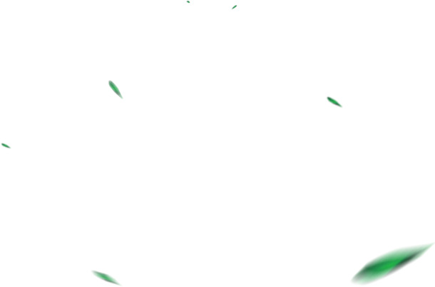 高清PNG透明图片，漂浮模糊树叶植物效果，创意漂浮元素设计素材下载