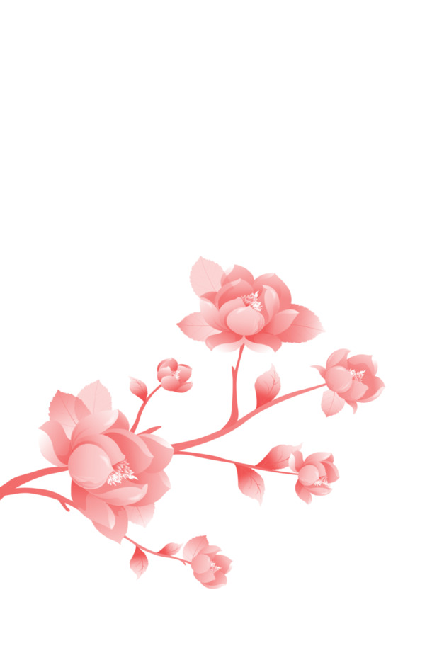 梅花装饰PNG透明图片，高清植物素材，设计元素下载