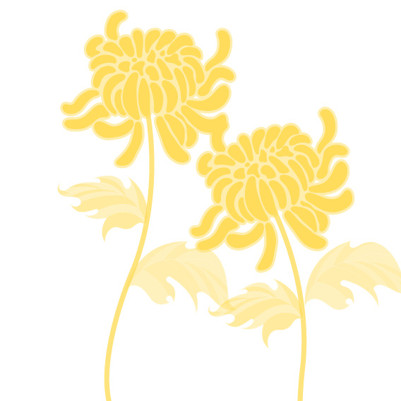 秋菊矢量PNG透明图，高清漂浮花瓣素材，免费下载