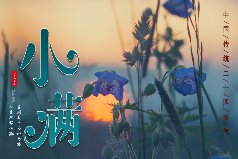 小满节气海报，高清JPG及特色PSD设计素材下载