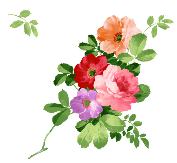 手绘玫瑰PNG透明图，情人节节日元素，高清设计素材下载