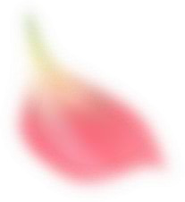 模糊植物花瓣PNG素材，高清透明漂浮元素，创意设计图片下载