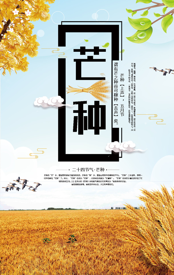 芒种海报背景图片素材，高清PNG透明背景+PSD格式设计元素，免费下载