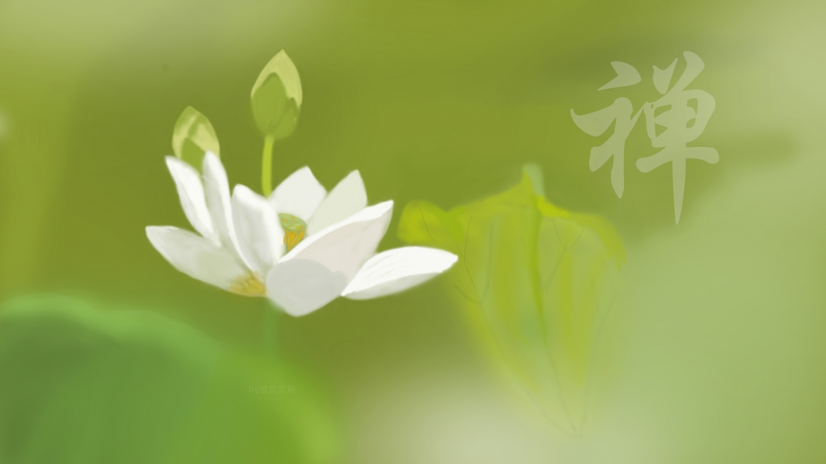 原创白荷花禅意高清4K壁纸，3840x2160超清背景图片下载