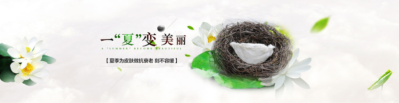 中国风燕窝设计素材，复古JPG与PSD格式高清下载