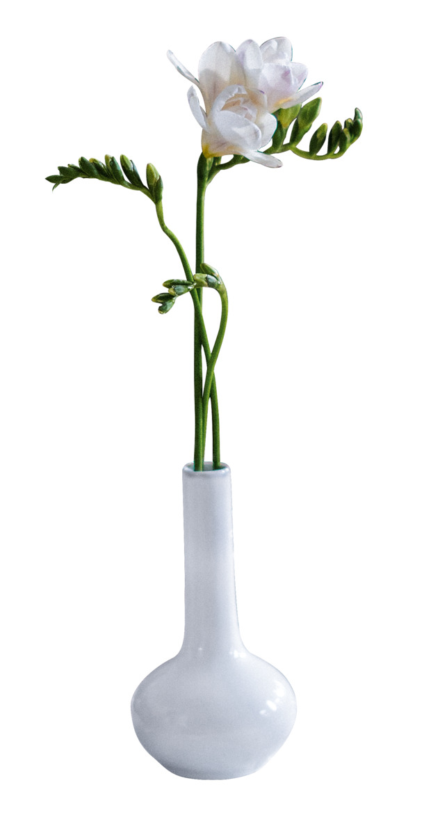 动植物元素PNG透明图片，花瓶鲜花高清设计素材下载