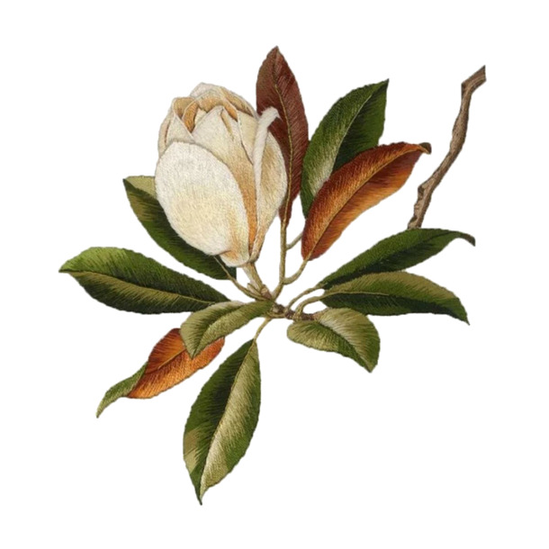 白色刺绣花儿PNG透明图，高清装饰元素，免费下载
