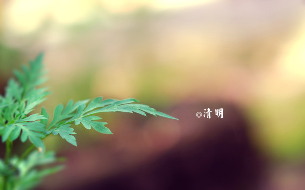 春日四月清明至，青团海报背景精选，9张高清PNG透明图片，节日PSD素材下载