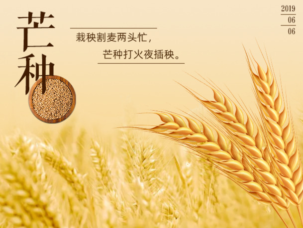 二十四节气精美PNG背景图，高清透明，节日设计素材免费下载