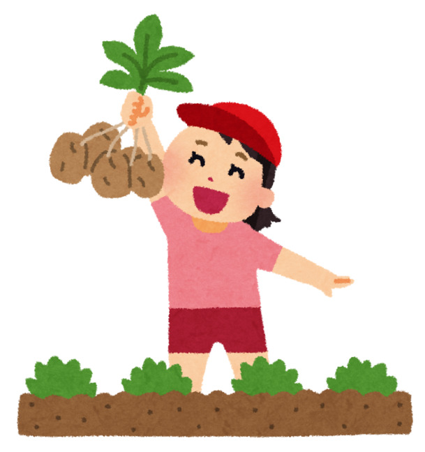 小女孩田间拔土豆，手绘卡通PNG透明图片，设计素材高清下载