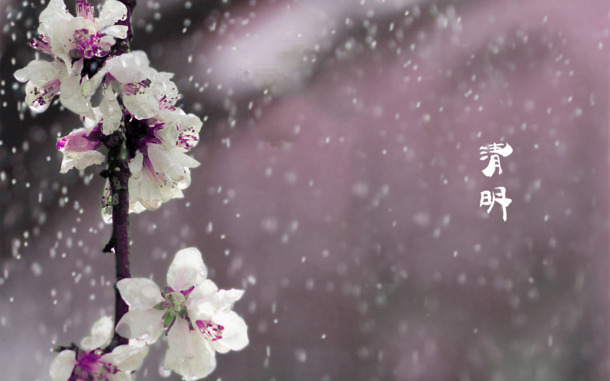 清明佳节至，四月春意浓，青团海报背景高清PNG透明图片，节日氛围PSD设计素材免费下载