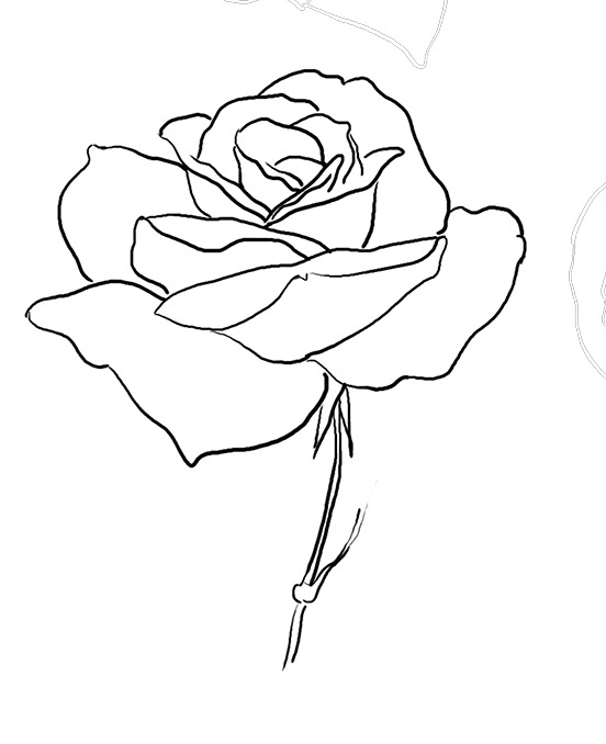 线描玫瑰花PNG透明图，手绘卡通风格，设计素材下载