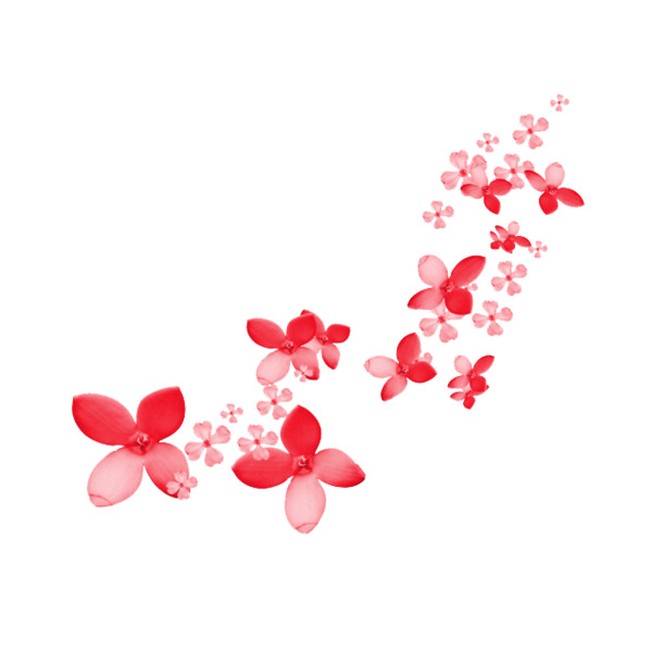 红色漂浮鲜花PNG透明图，高清花瓣元素，设计素材下载