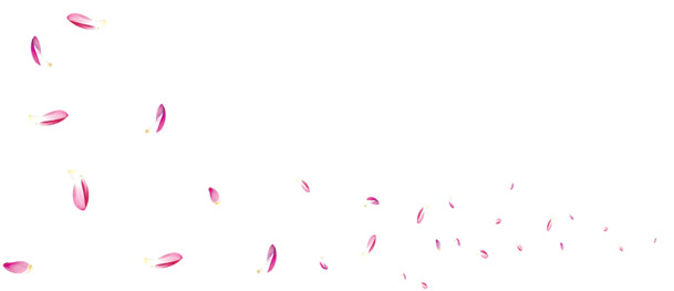 高清PNG荷花花瓣透明图片，漂浮元素设计素材，免费下载