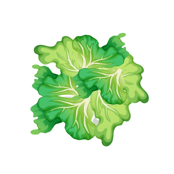手绘蔬菜植物PNG/AI设计素材，高清透明，卡通风格，下载即用