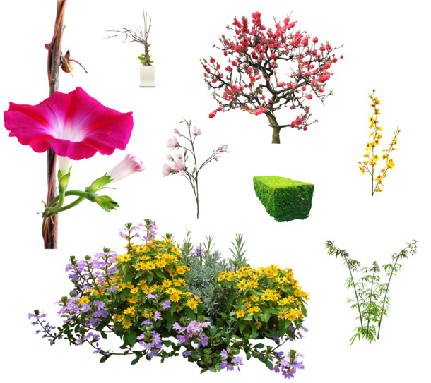 花草树木PNG素材，高清透明图片，漂浮花瓣元素，设计下载专区