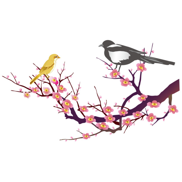 梅花枝头黄梅鸟，手绘卡通PNG透明图，AI设计素材免费下载