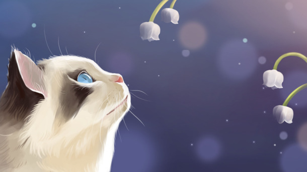 可爱猫咪手绘插画，唯美高清PNG透明背景，卡通风格设计素材下载