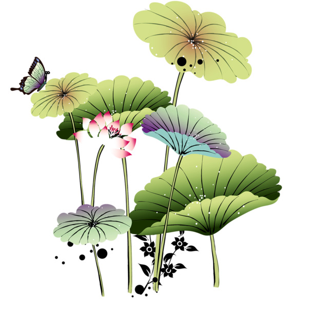 端午节节日元素，高清PNG透明莲花荷花图片，设计素材免费下载