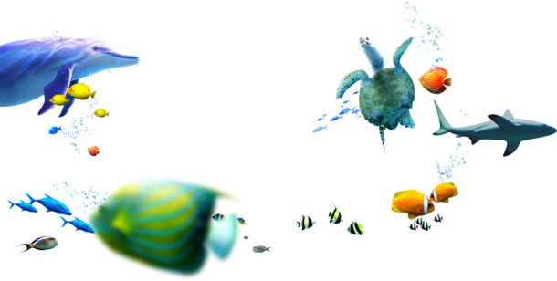 手绘深海生物，夏季高清PNG透明图片，精美动物元素，设计素材下载