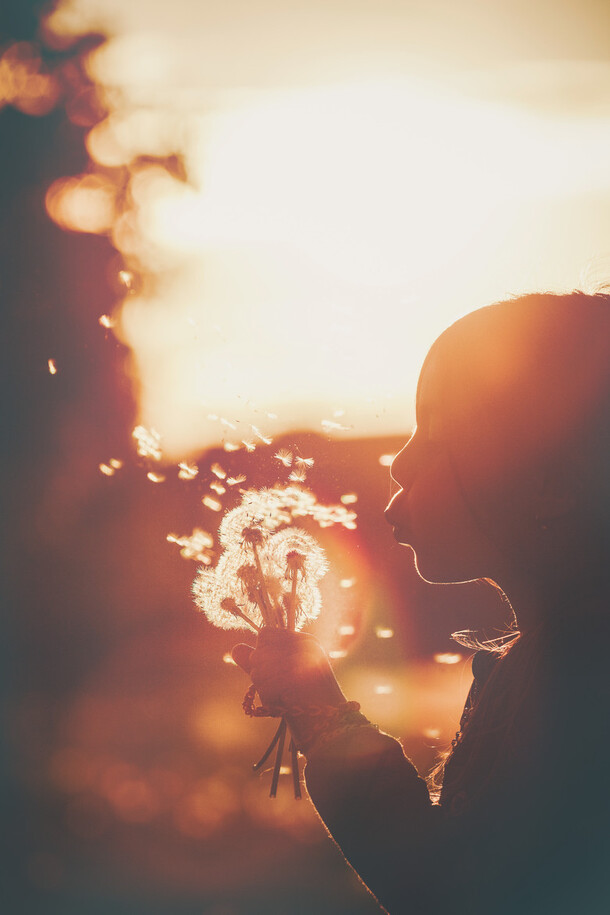 夕阳映照，小男孩吹蒲公英，唯美PNG透明背景图，H5设计素材免费下载
