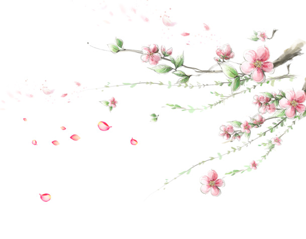 墙角梅花PNG透明图片，高清花瓣漂浮元素，设计素材免费下载