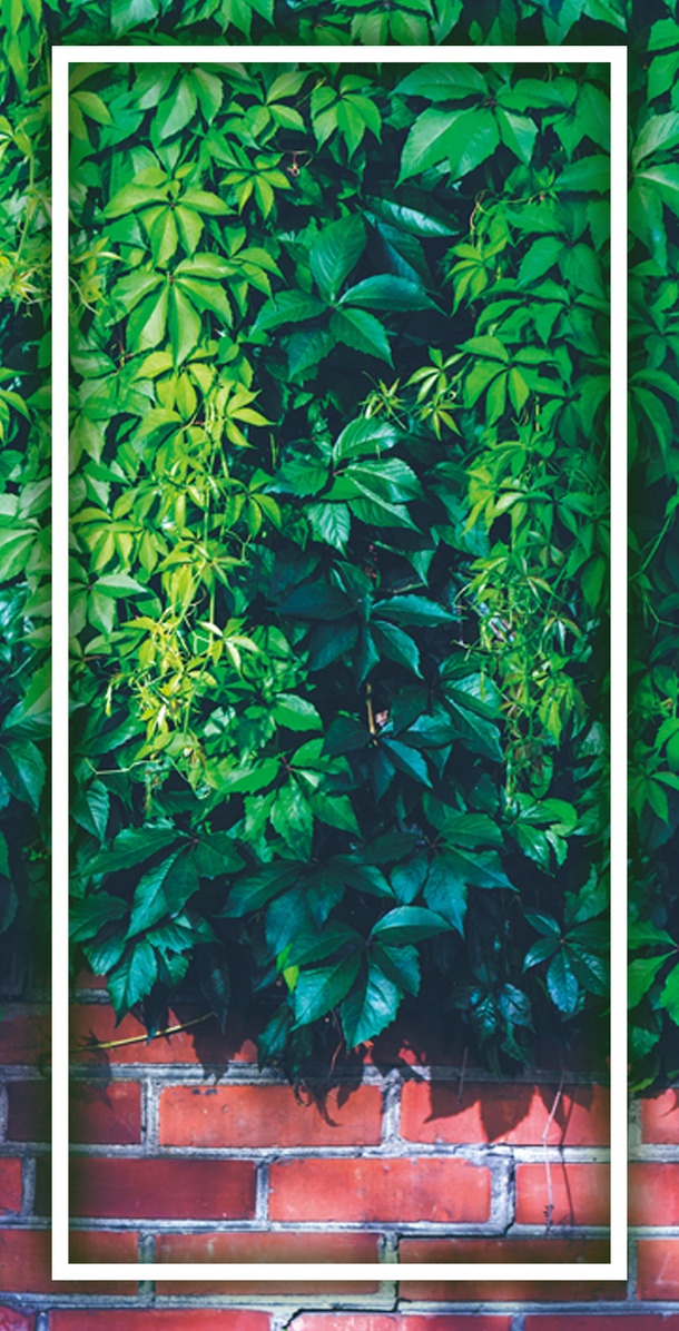 夏季新品炫彩登场！精选易拉宝背景PNG透明图，丰富图片设计素材免费下载