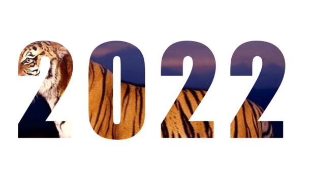 2022虎年大吉PNG透明图，元旦春节元宵PSD设计素材下载