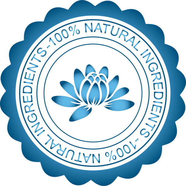 高清蓝色莲花Logo PNG透明图片，精美边框装饰素材，免费下载