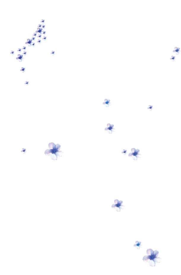 漂浮花瓣PNG素材，高清透明图片，创意花瓣元素设计下载