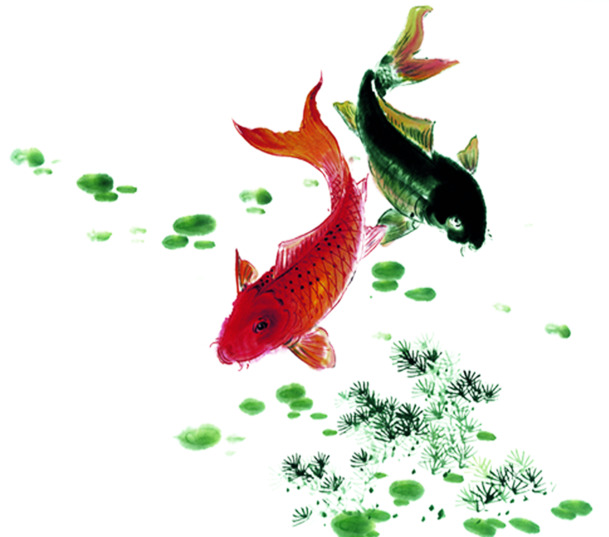 鲈鱼古典风海报，高清PNG透明装饰元素，动物设计素材下载