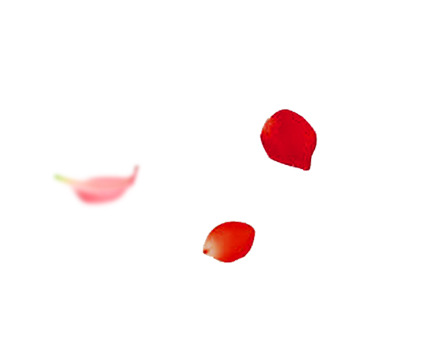情人节、七夕、三八妇女节PNG透明图片，节日元素高清素材下载
