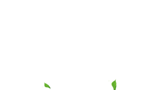 教师节创意海报，高清PNG透明图片，树叶花瓣漂浮元素，植物素材下载