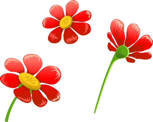 小红花矢量插图，高清PNG透明背景，卡通手绘元素，免费下载