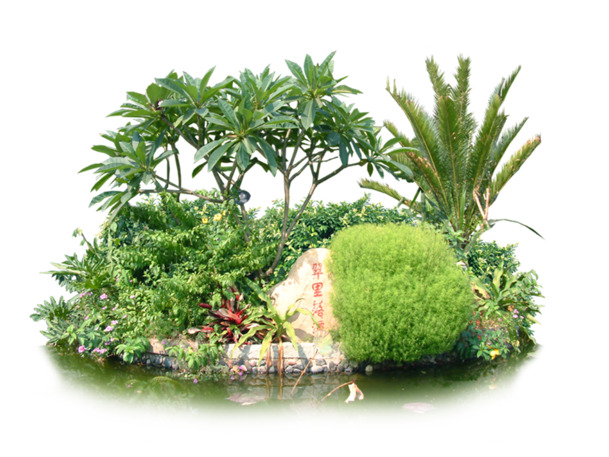 园林绿植素材大放送，高清PNG透明背景，摄影风景元素，设计必备！