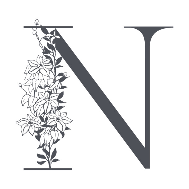 素雅花枝字母N设计素材，高清PNG透明免扣，含AI格式，免费下载
