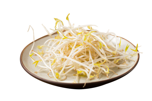 绿豆芽高清PNG透明素材，免扣元素及图片设计资源免费下载