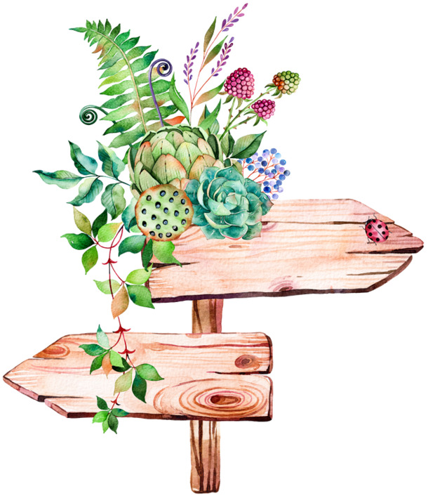 手绘植物路牌PNG透明图，高清装饰素材，免费下载