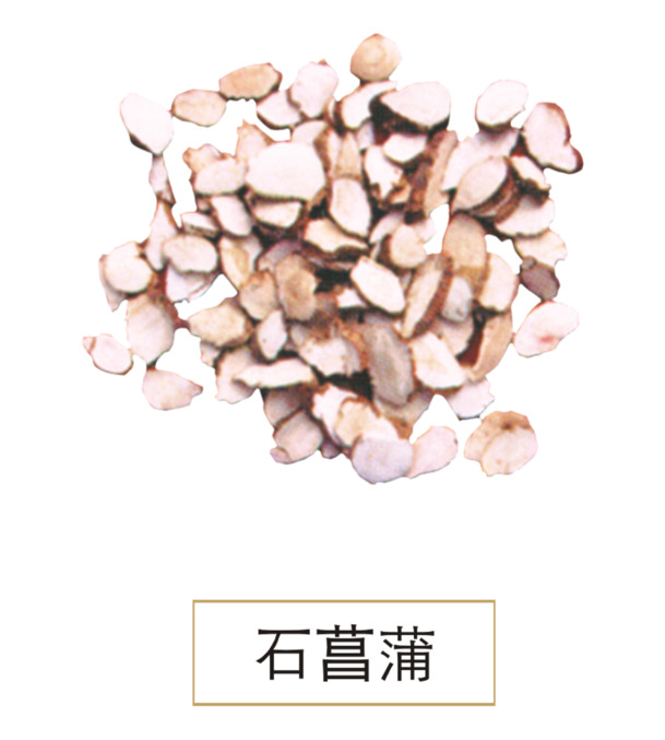石菖蒲PNG透明图，精美植物装饰元素，高清设计素材免费下载