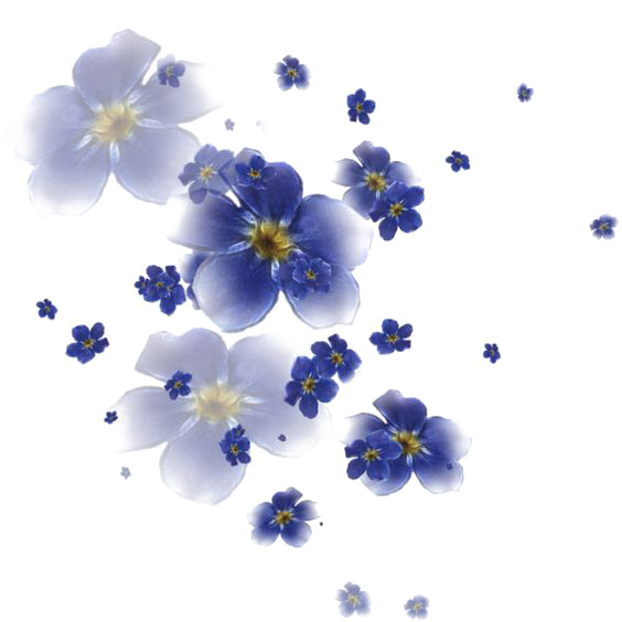 蓝色花朵PNG透明图，高清漂浮花瓣设计素材，免费下载