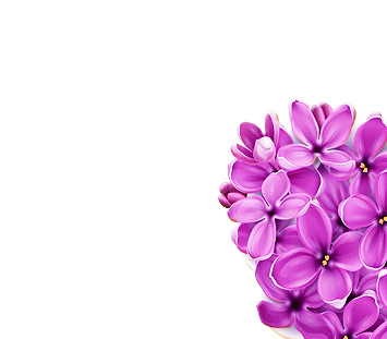 浪漫丁香爱心花束PNG透明图，情人节节日元素，高清设计素材下载
