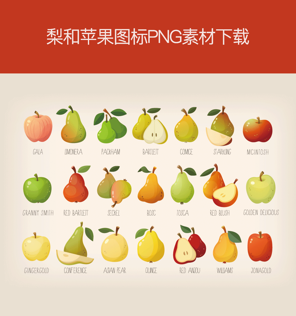 苹果梨水果图标设计素材[1]