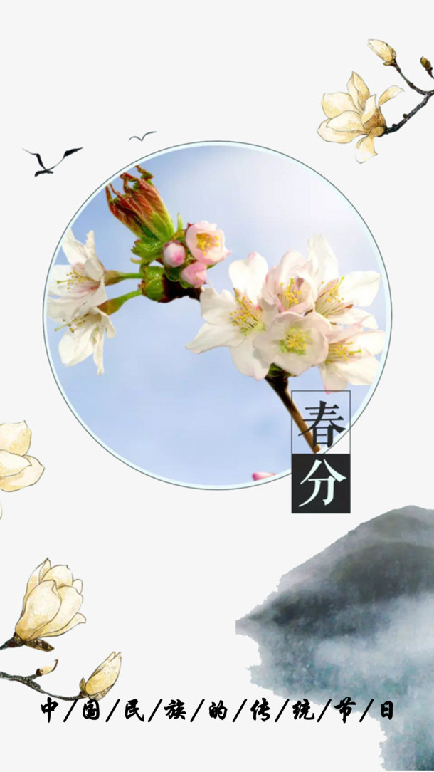 春分花卉庆典PNG高清透明背景图，节日元素设计素材免费下载