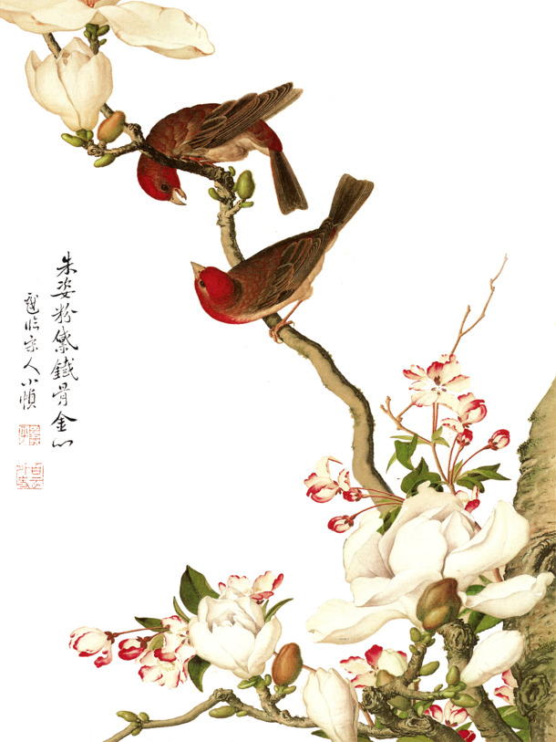 中国风花鸟画PSD素材，高清PNG透明图片，植物装饰元素，免费下载