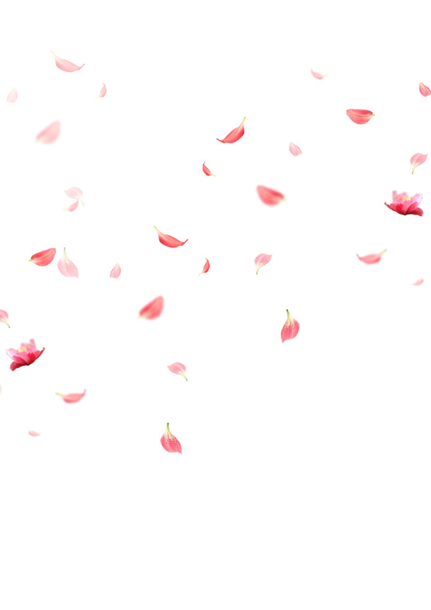 花瓣漂浮PNG透明图片素材，高清设计元素免费下载
