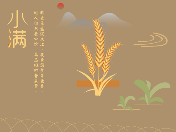 24节气小满养生图片素材，高清PNG透明背景，节日背景设计元素下载
