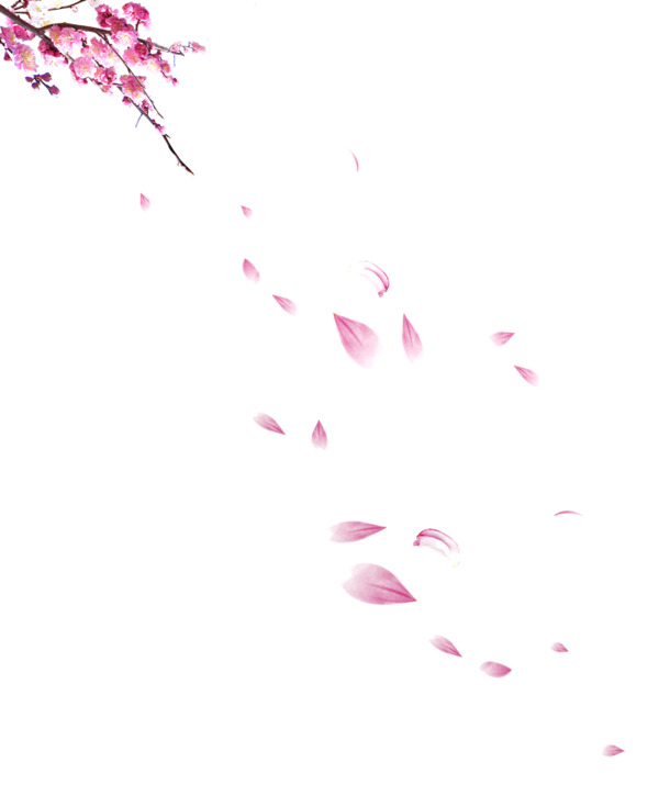 飘落花瓣PNG透明图，高清漂浮元素，设计素材免费下载