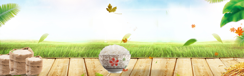 新鲜米饭美景banner，高清JPG电商素材，狂欢PSD设计下载
