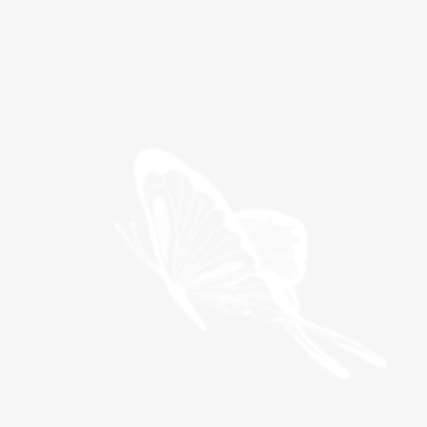 卡通白蝴蝶PNG高清透明图，漂浮元素设计素材下载